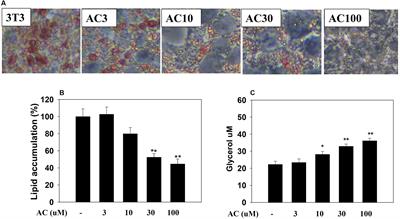 Acacetin from Traditionally Used Saussurea involucrata Kar. et Kir. Suppressed Adipogenesis in 3T3-L1 Adipocytes and Attenuated Lipid Accumulation in Obese Mice